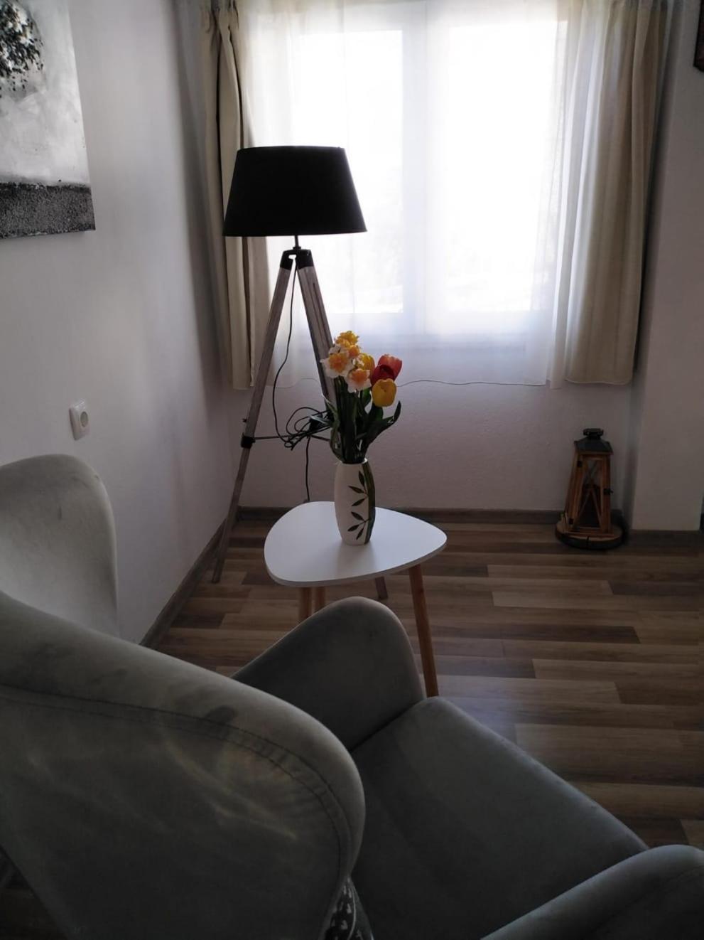 Apartments Paola Trogir Værelse billede